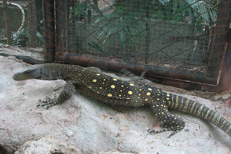 Thailand, Bangkok, Dusit Zoo